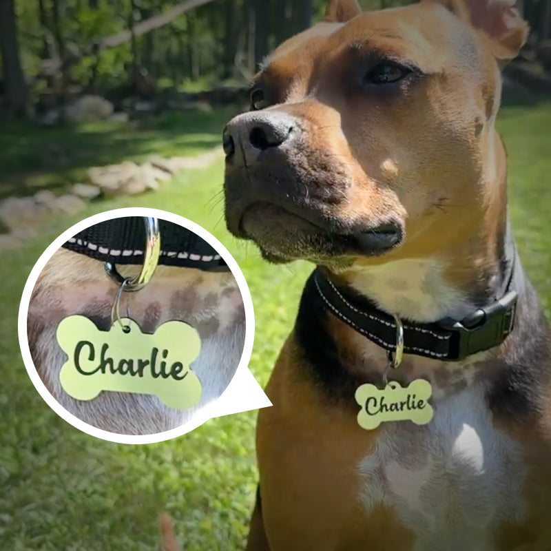 Kit di strumenti per tag personalizzati